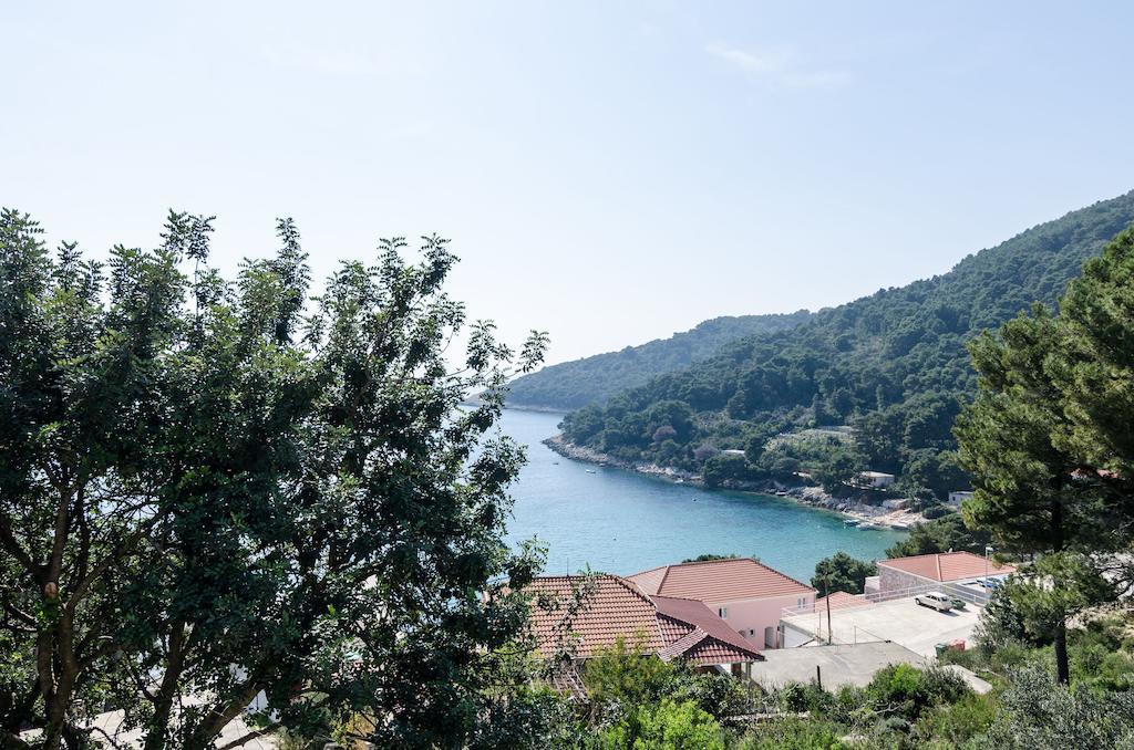 Guest House Kralj 사플루나라 객실 사진