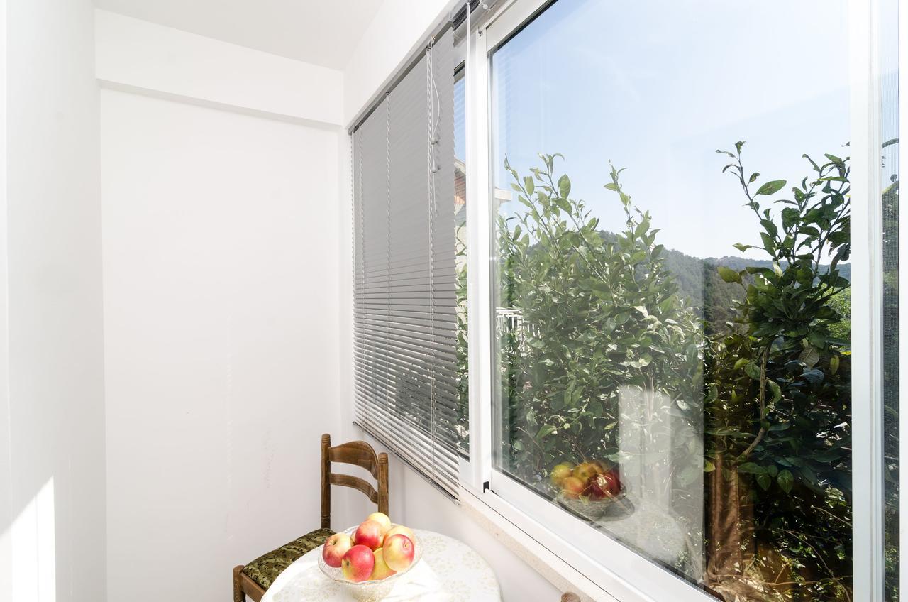 Guest House Kralj 사플루나라 외부 사진
